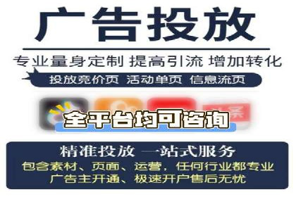 百度竞价排名之成功案例：看广告如何转化为销量